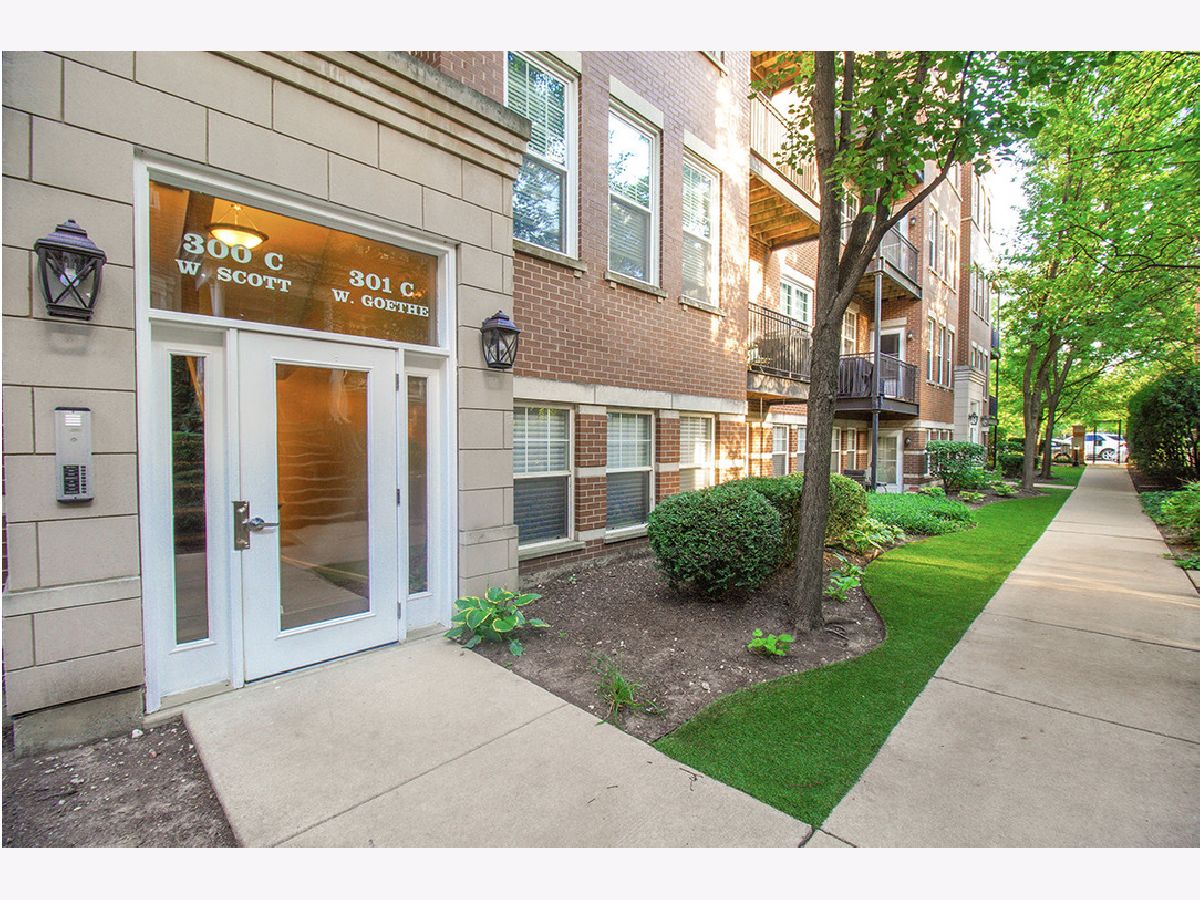 Townhomes & Condos & Homes Rented Old Town Square Chicago Illinois, 301 Goethe