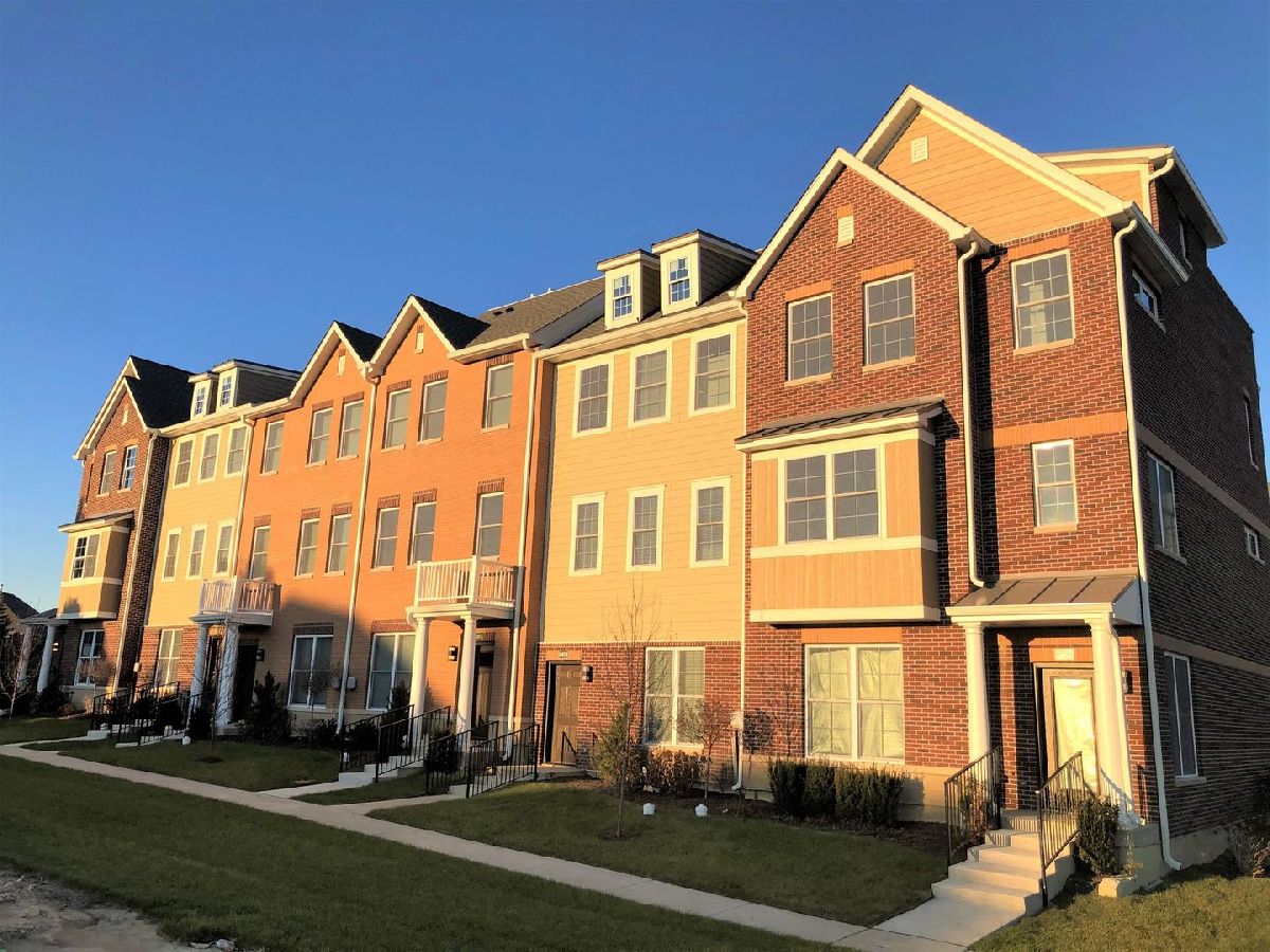 For Rent Orland Park Illinois, 10610 Alice Mae