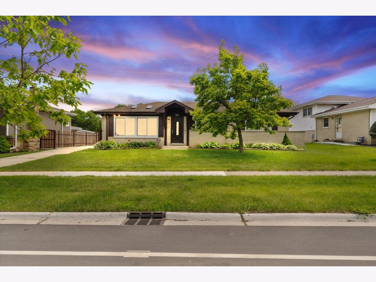 Homes & Condos & Townhomes Sold Lancer Park Schaumburg Illinois, 703 Berkshire