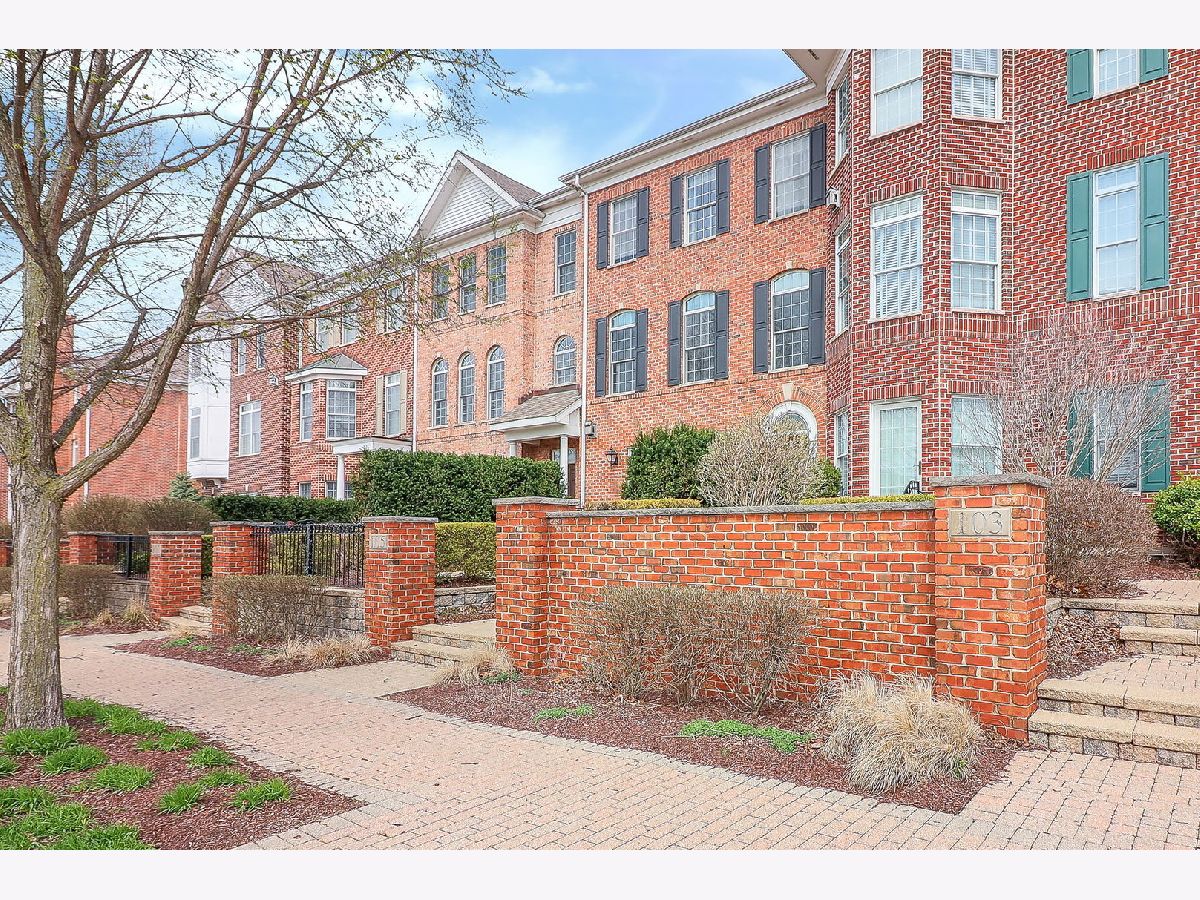 Townhomes & Homes Rented Naperville Station Naperville Illinois, 105 Spring