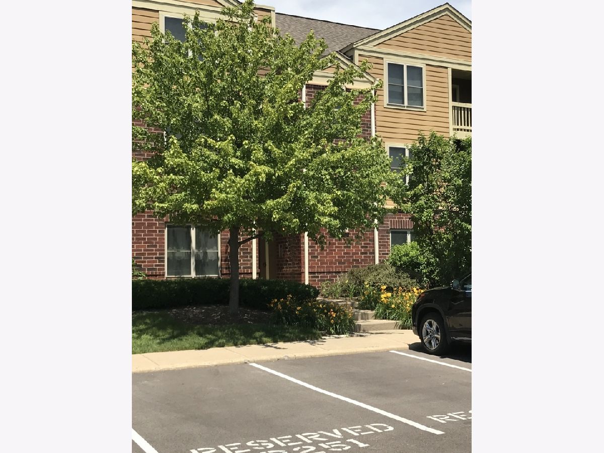  Rented Bloomingdale Illinois