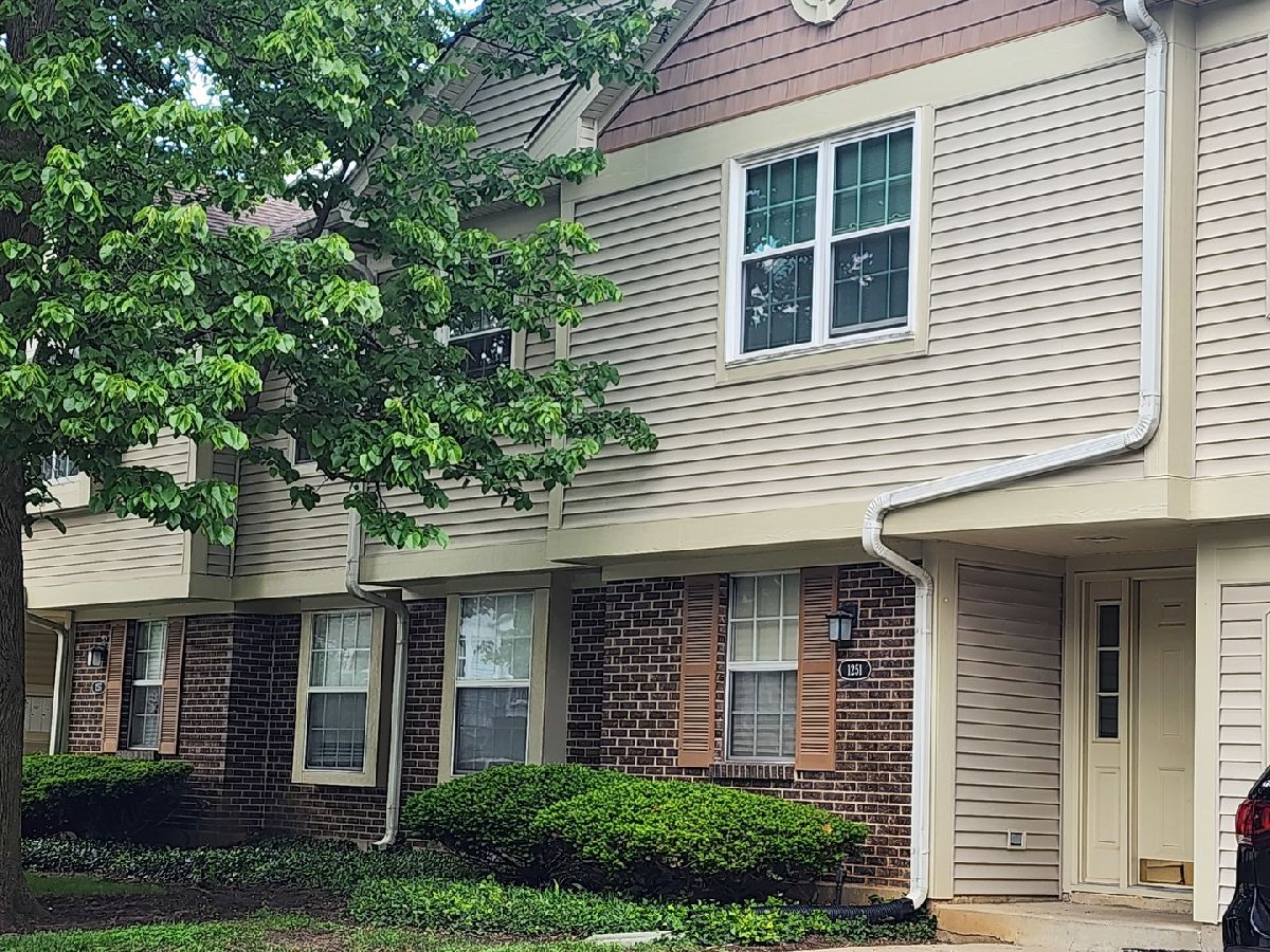 Condos & Townhomes Sold Cambridge Chase Mundelein Illinois, 1251 Bradwell