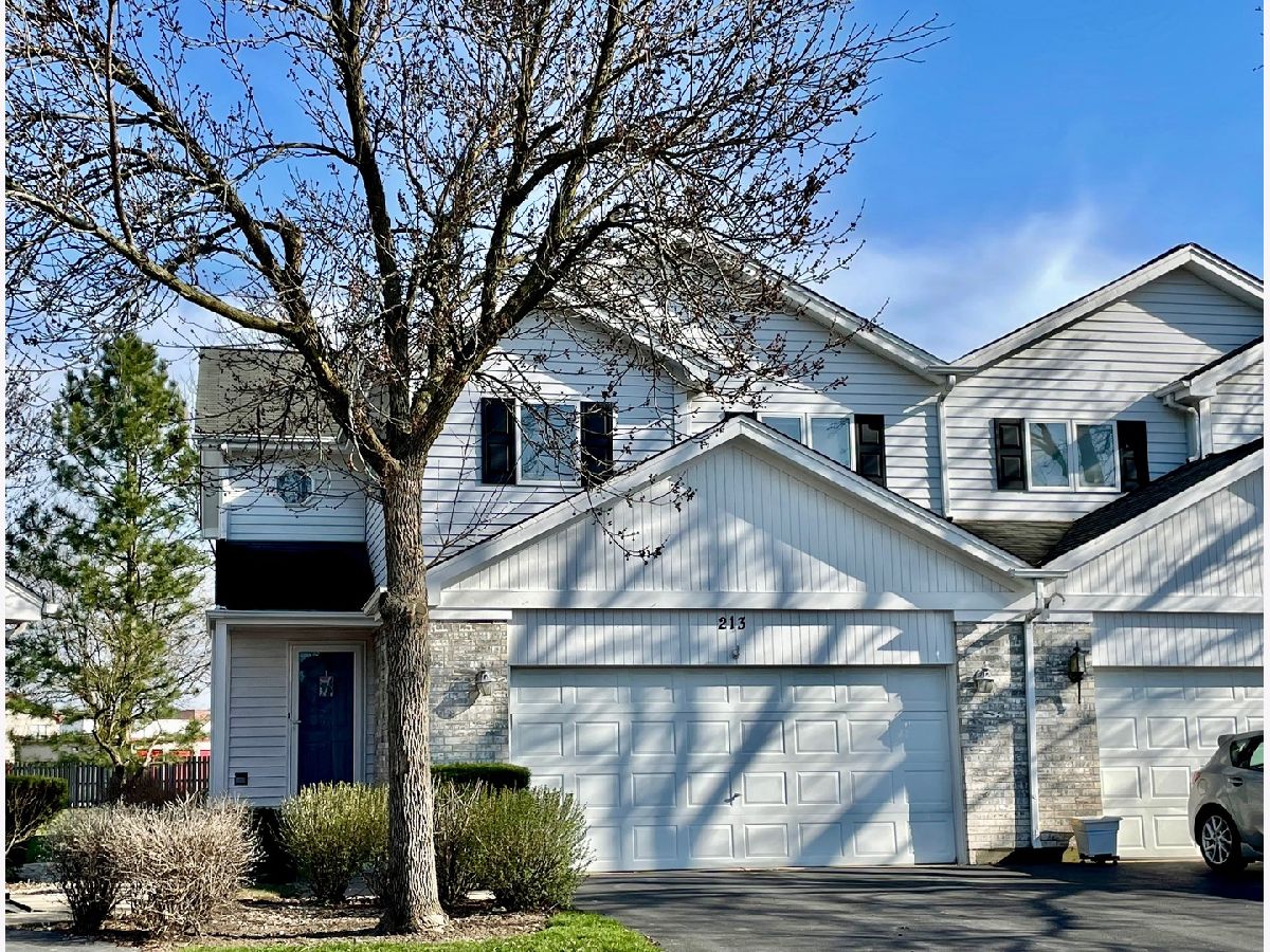  Rented Westmont Illinois, 213 Carlisle