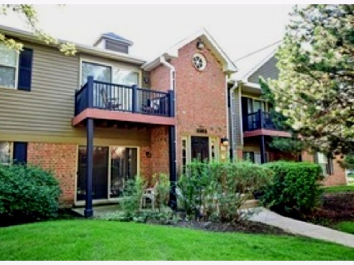 Condominiums Rented Chantecleer Lakes Naperville Illinois, 1585 Raymond