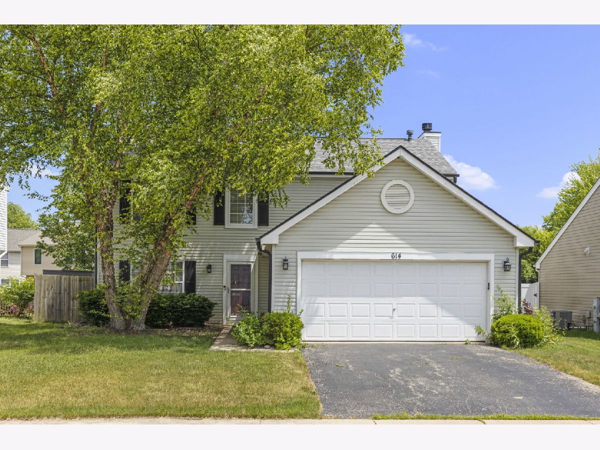 Homes Sold Natures Edge Aurora Illinois, 614 Spicebush
