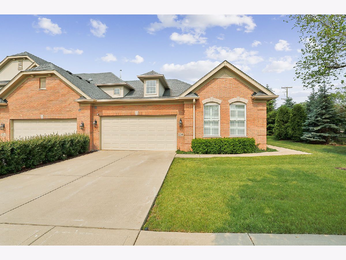 Townhomes Sold Ashbury Woods 03 Lemont Illinois, 1250 Ashbury