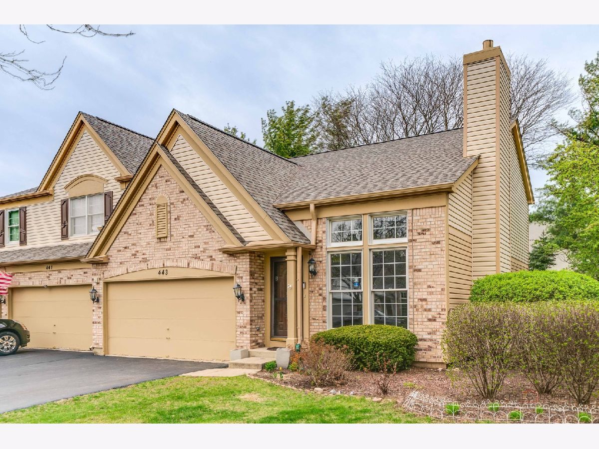 Townhomes & Homes Rented Orleans Naperville Illinois, 443 Orleans