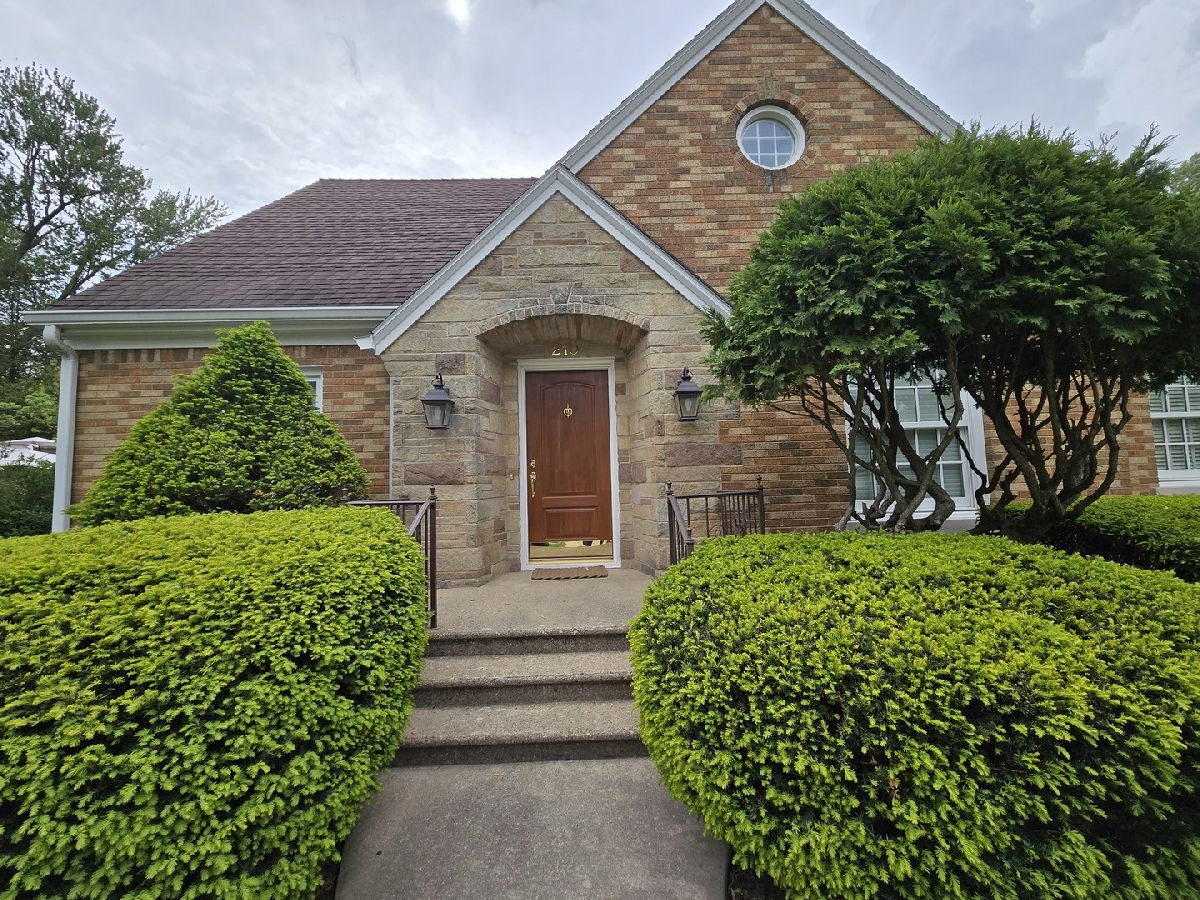  Sold Shannon Illinois, 210 Ridge