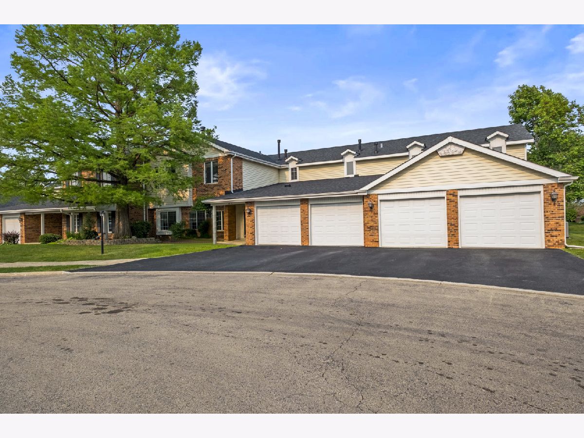 Condominiums Sold Lake Willow Way Willowbrook Illinois, 7215 Birchwood