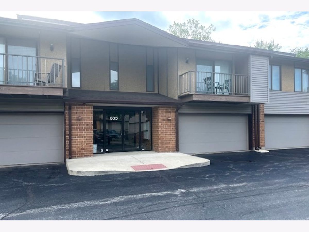 Condominiums Sold Willow Woods Elk Grove Village Illinois, 805 Oakton