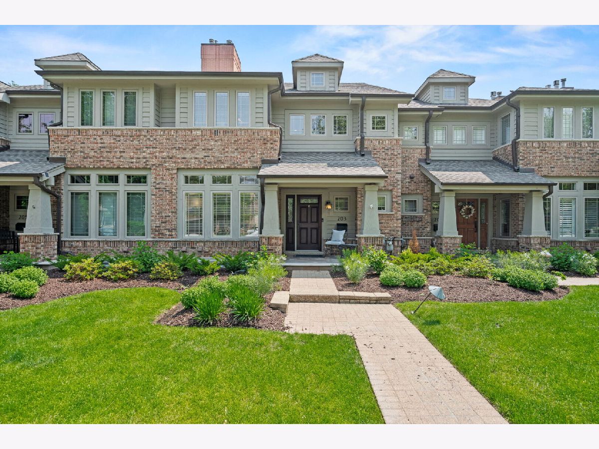 Condos & Townhomes Sold Larch Avenue Rowhomes Elmhurst Illinois, 203 Larch