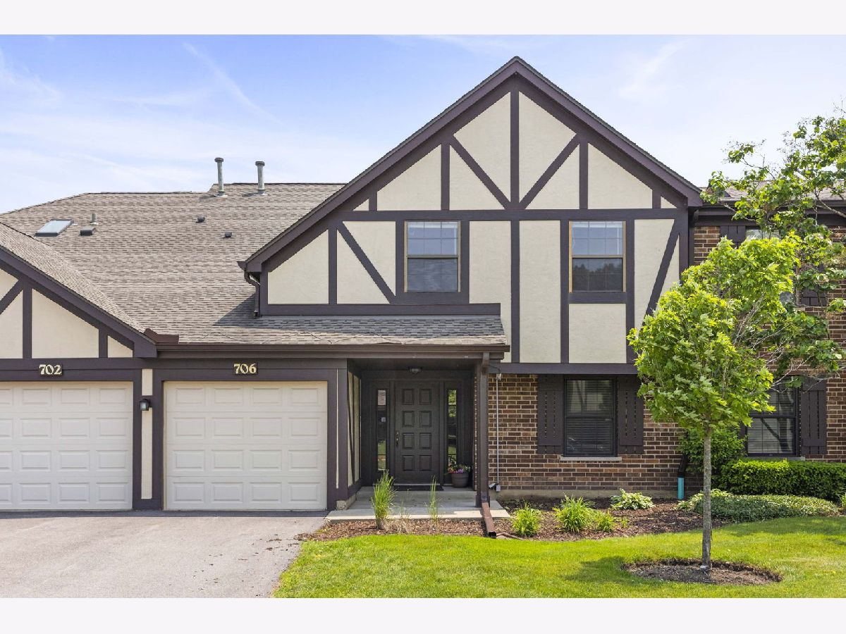 Condos & Townhomes Sold Elizabeth Park Wood Dale Illinois, 706 Elizabeth