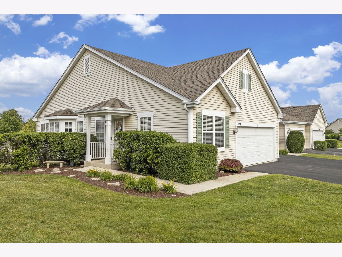 Townhomes & Homes Sold Chestnut Ridge Minooka Illinois, 524 Prairie View