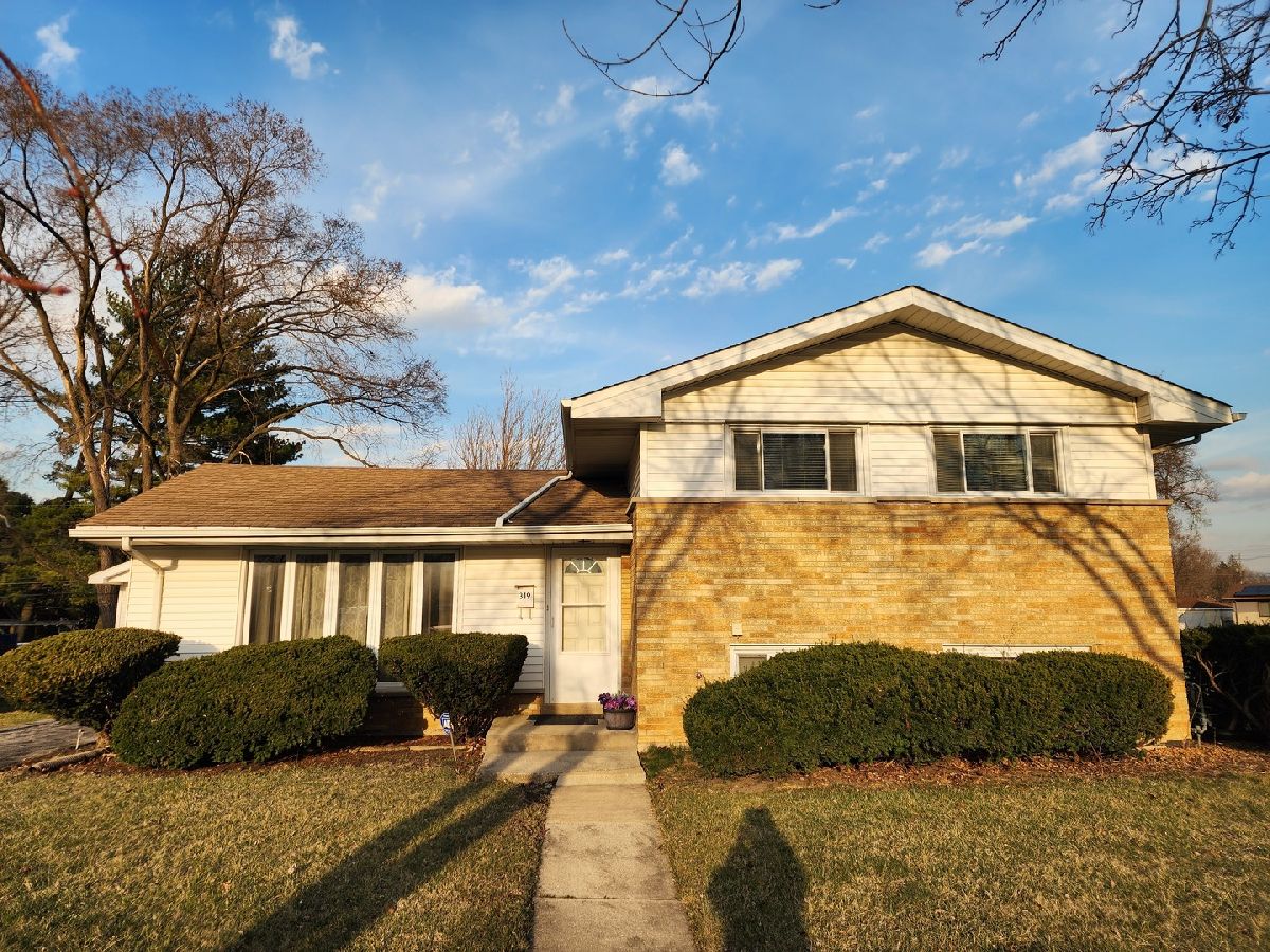  Sold Chicago Heights Illinois, 319 Serena