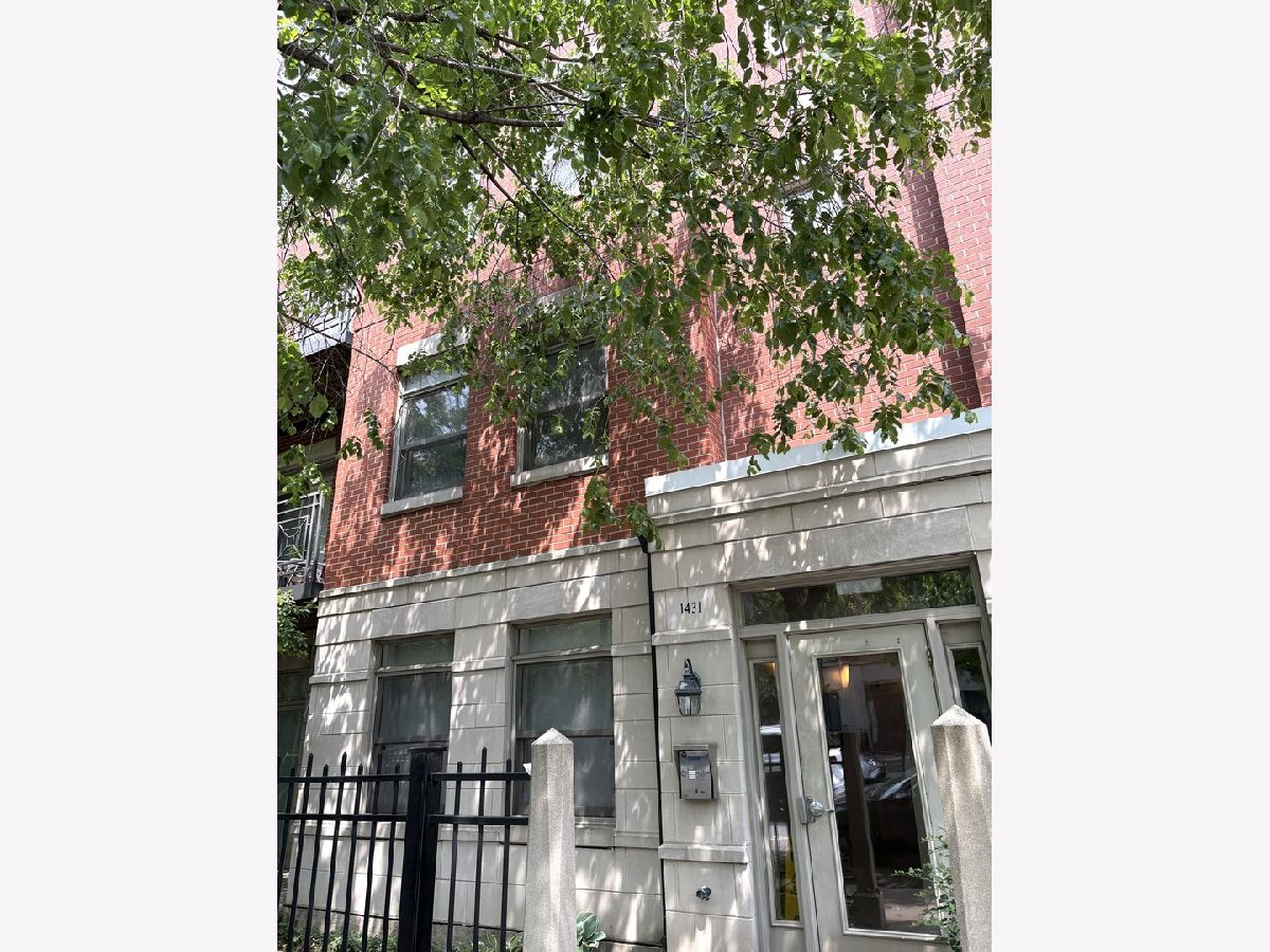 Condos & Townhomes & Homes Rented University Village Chicago Illinois, 1431 Halsted