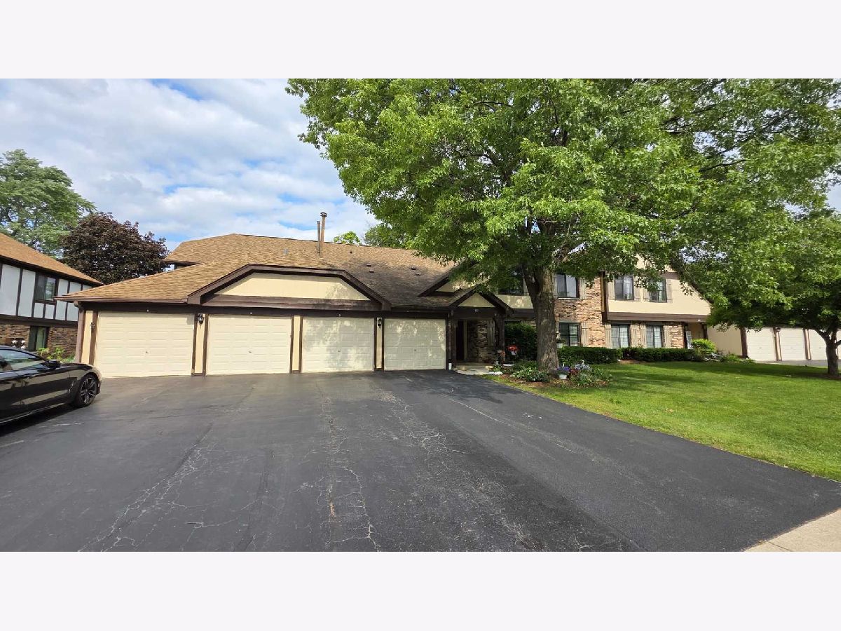  Rented Roselle Illinois, 531 Cumberland