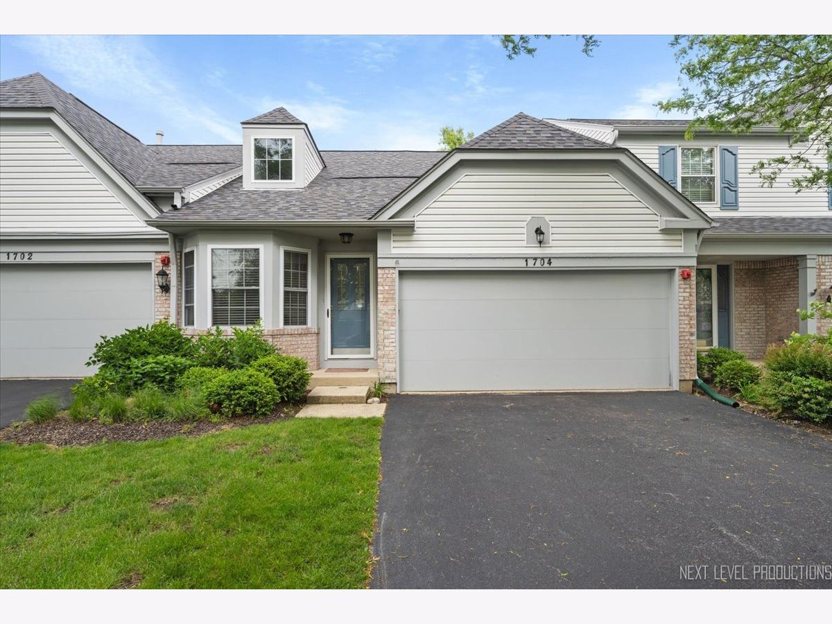 Townhomes & Homes Rented Orleans Naperville Illinois, 1704 Napoleon