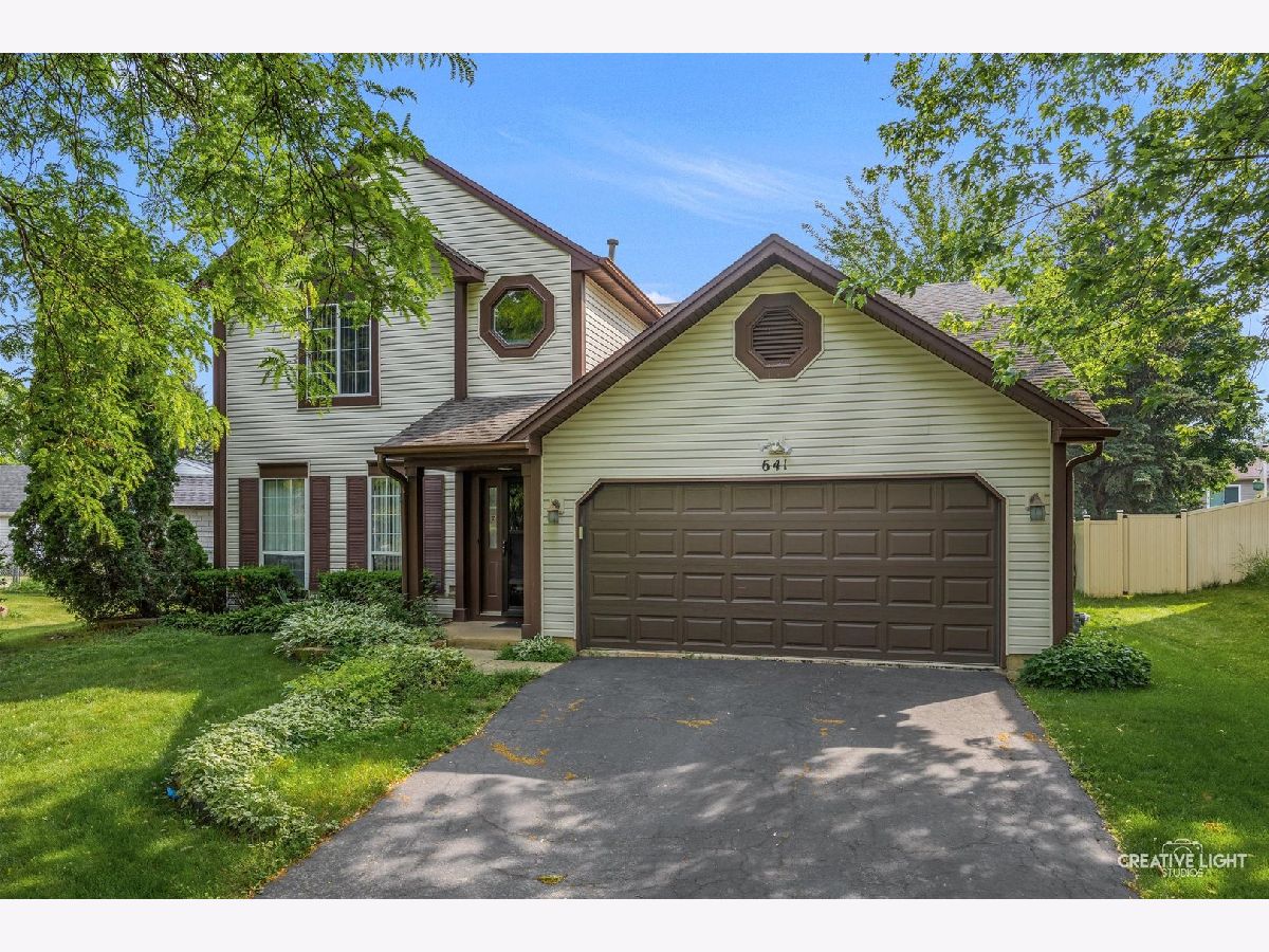 Homes & Condos & Townhomes Sold Summerhill Elgin Illinois, 641 Natoma