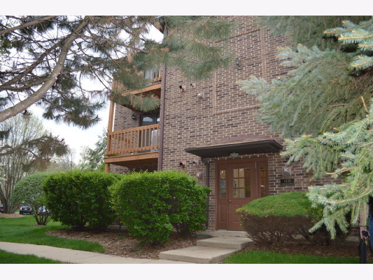 Condominiums Rented Abbeywood Lisle Illinois, 2230 Abbeywood