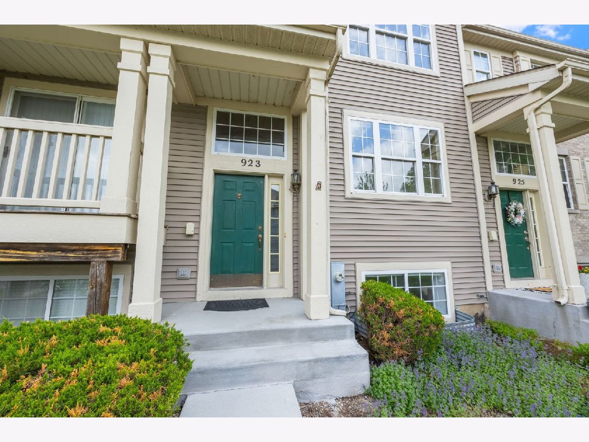  Rented Pingree Grove Illinois, 923 Emerald