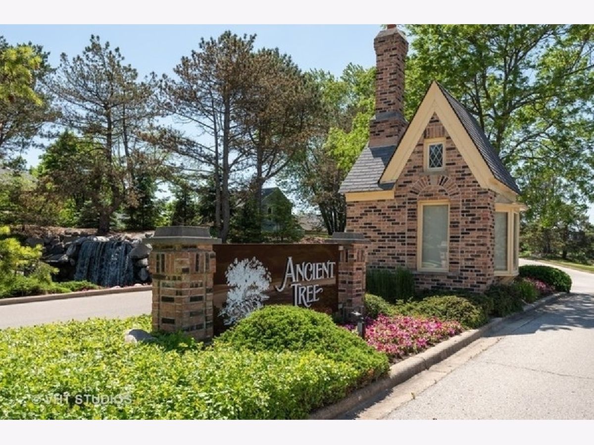 Townhomes & Condos & Homes Sold Ancient Tree Northbrook Illinois, 34 The Court Of Greenway
