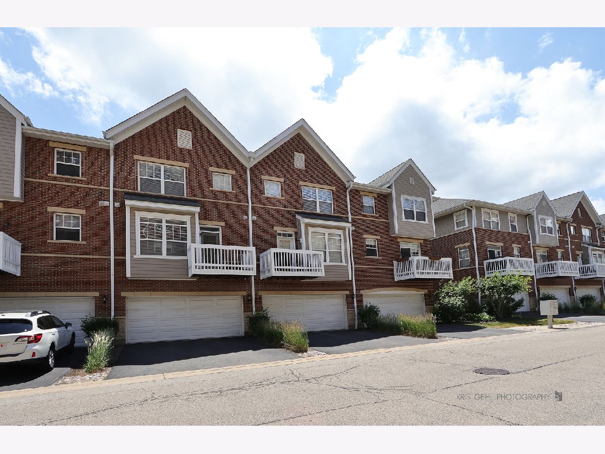  Rented Palatine Illinois, 372 Wood