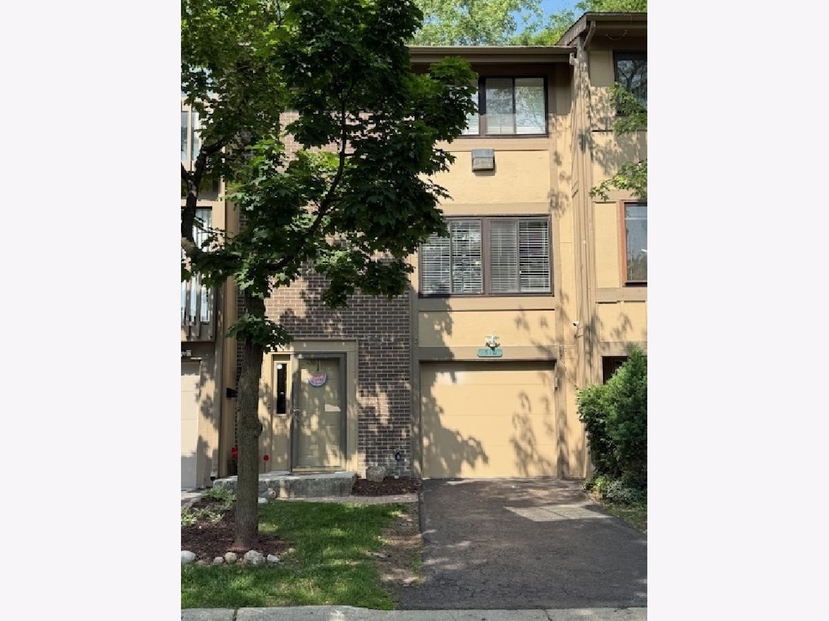 Townhomes & Condos & Homes Sold The Trails Roselle Illinois, 510 Isle Royal Bay