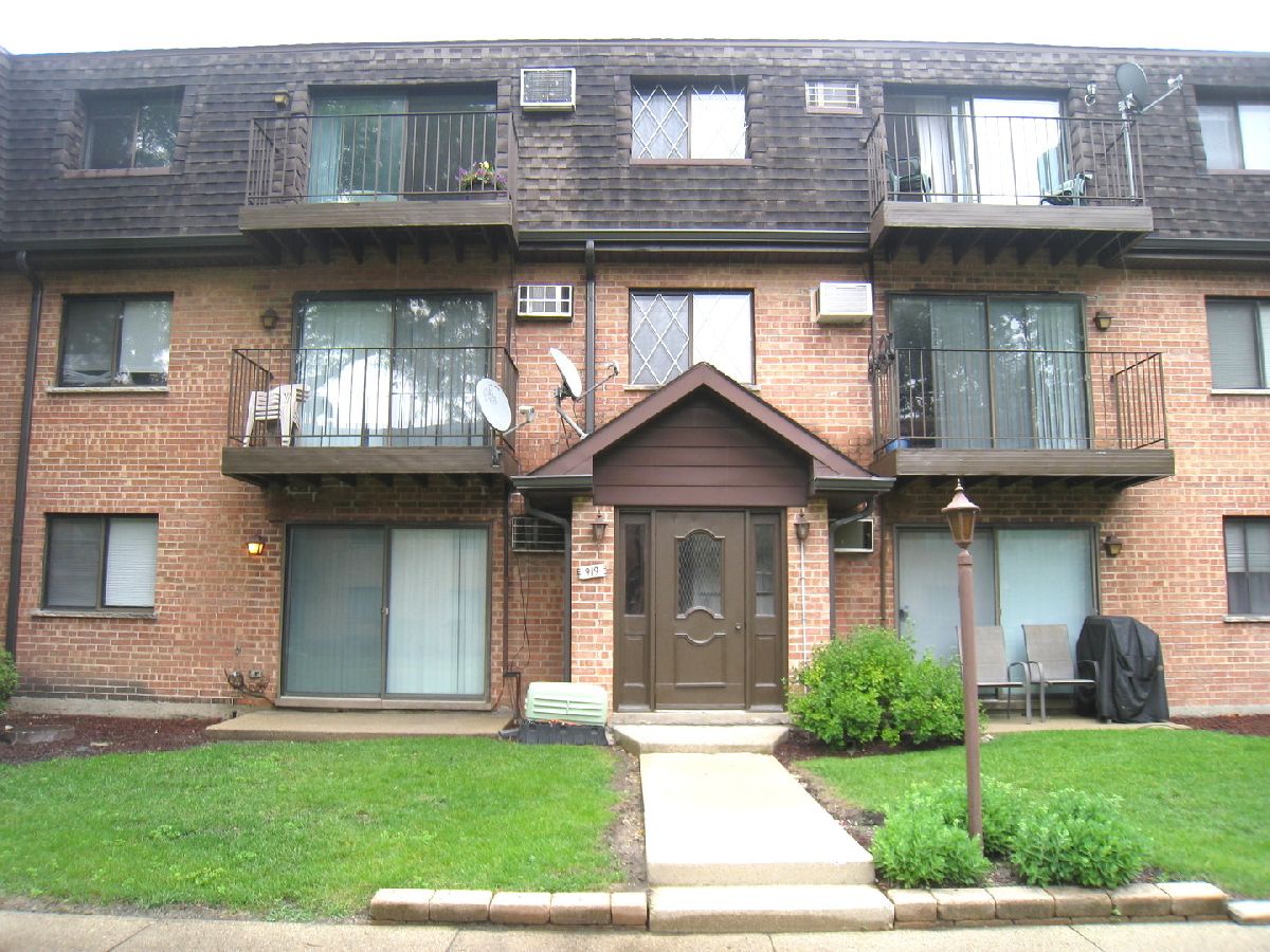  Rented Arlington Heights Illinois, 919 Mckinley