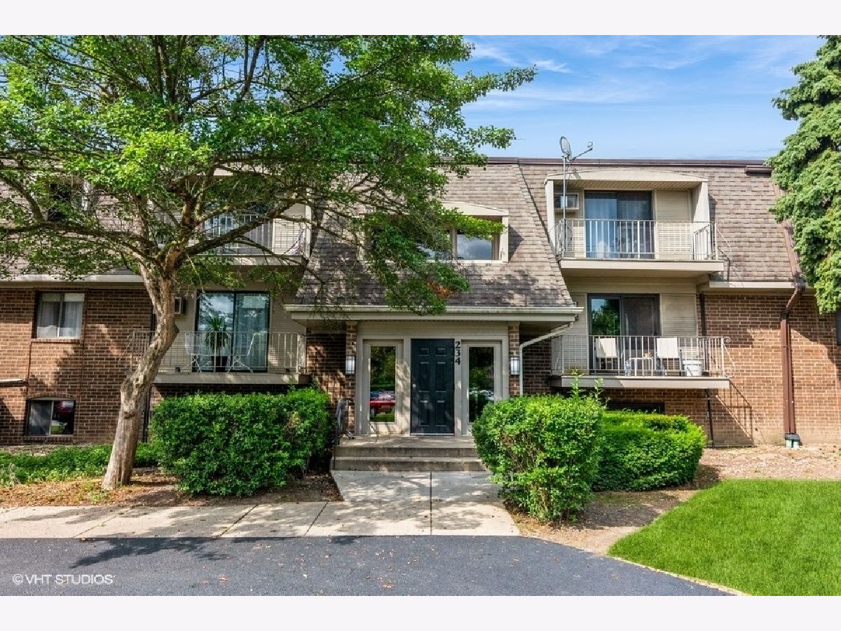 Condominiums Sold Olive Trees Naperville Illinois, 234 Bailey