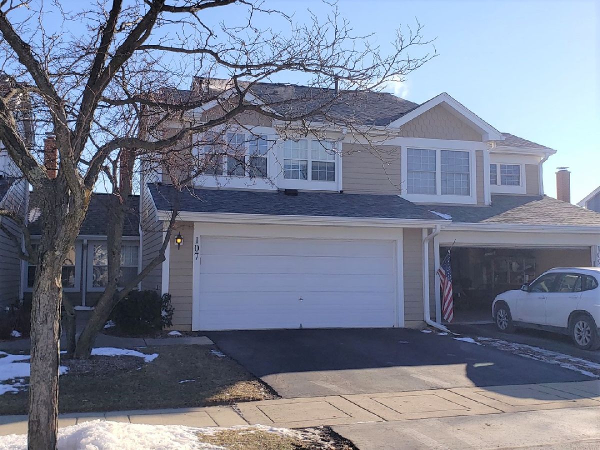 Townhomes & Homes Rented Sarahs Grove Schaumburg Illinois, 107 Sumac