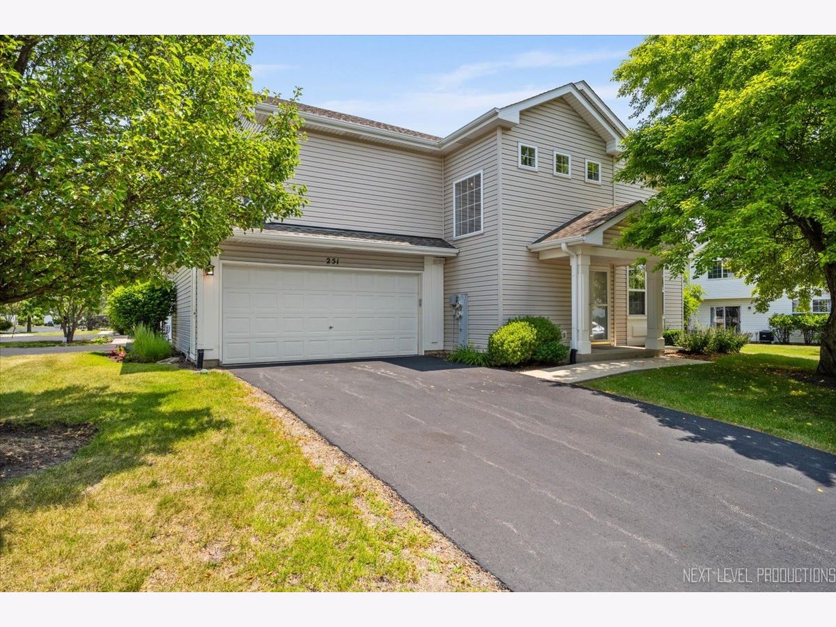 Townhomes & Homes Sold Waterford Oaks North Aurora Illinois, 251 Abington