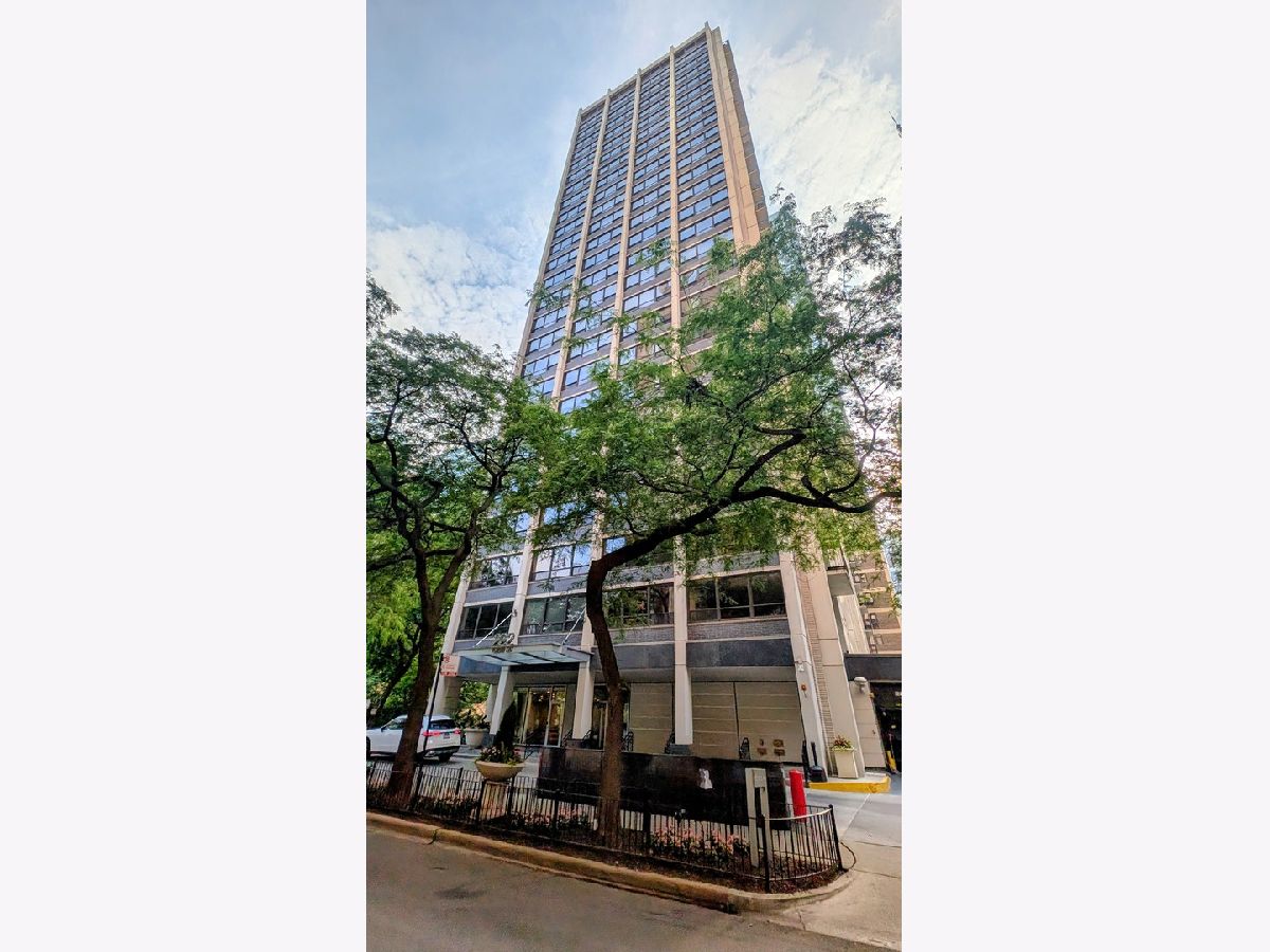 Condominiums Rented Pearson On The Park Chicago Illinois, 222 Pearson