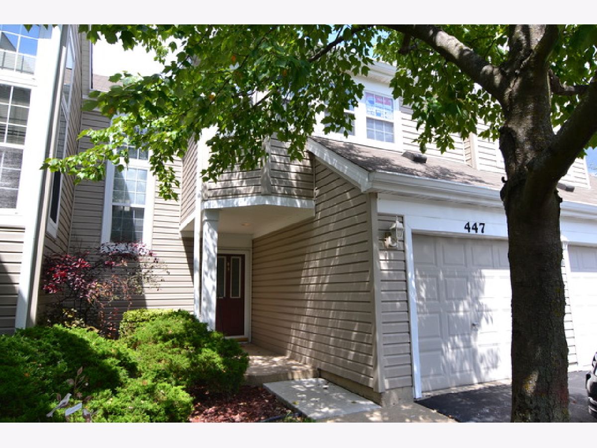  Rented Carol Stream Illinois, 447 Kilkenny