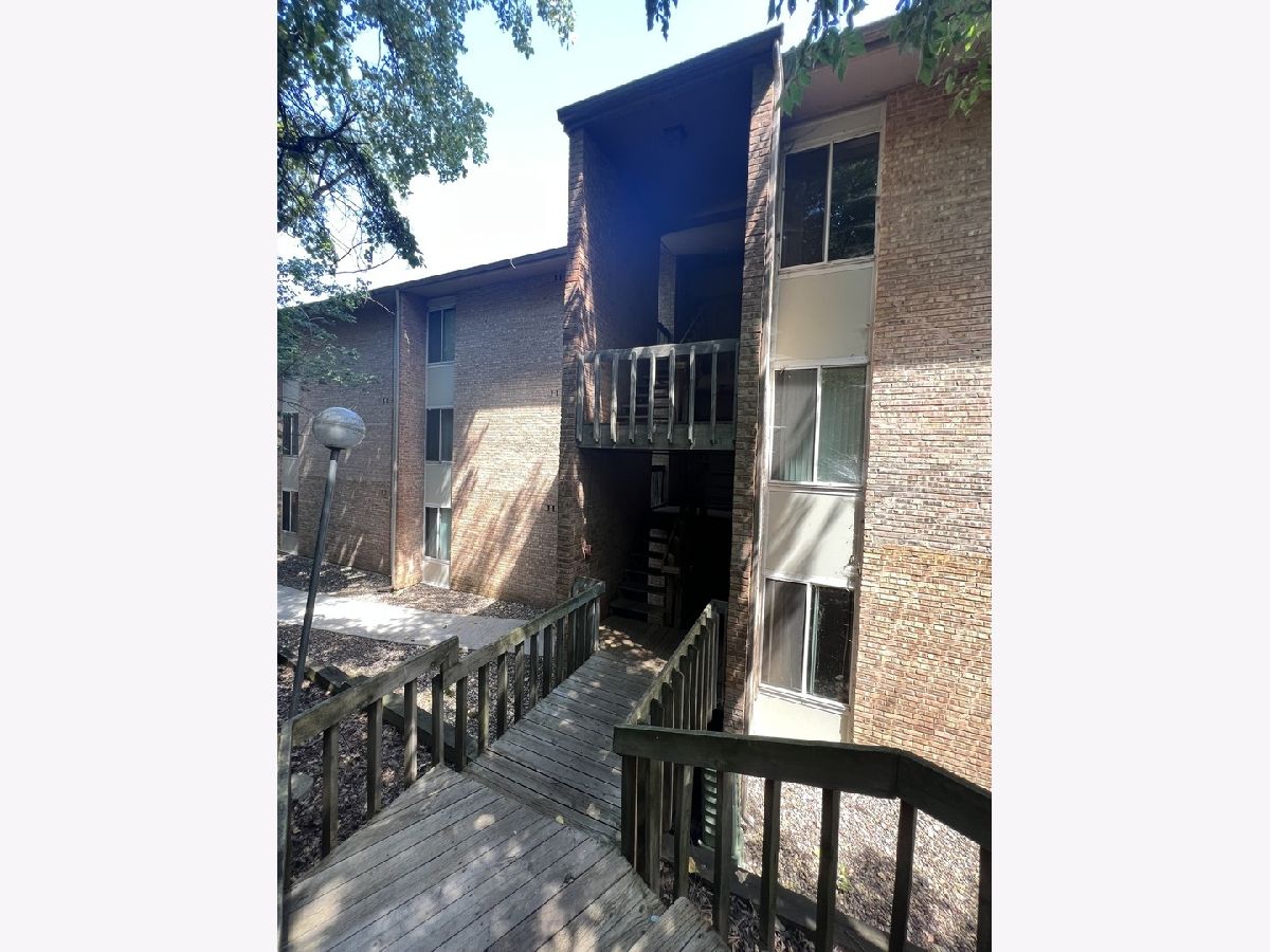  Rented Lisle Illinois, 5904 Forest View