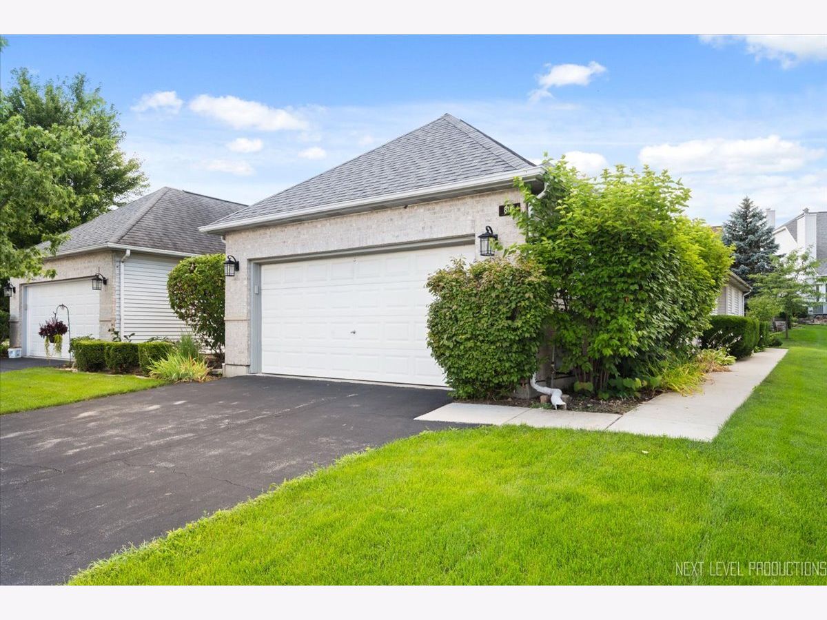 Townhomes & Condos Sold Wildwood Cove St Charles Illinois, 805 Thornwood