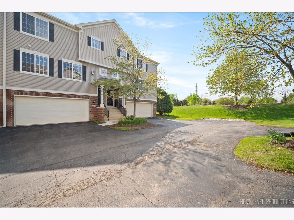 Homes & Townhomes & Condos Rented Amber Fields Aurora Illinois, 1919 Indian Hill
