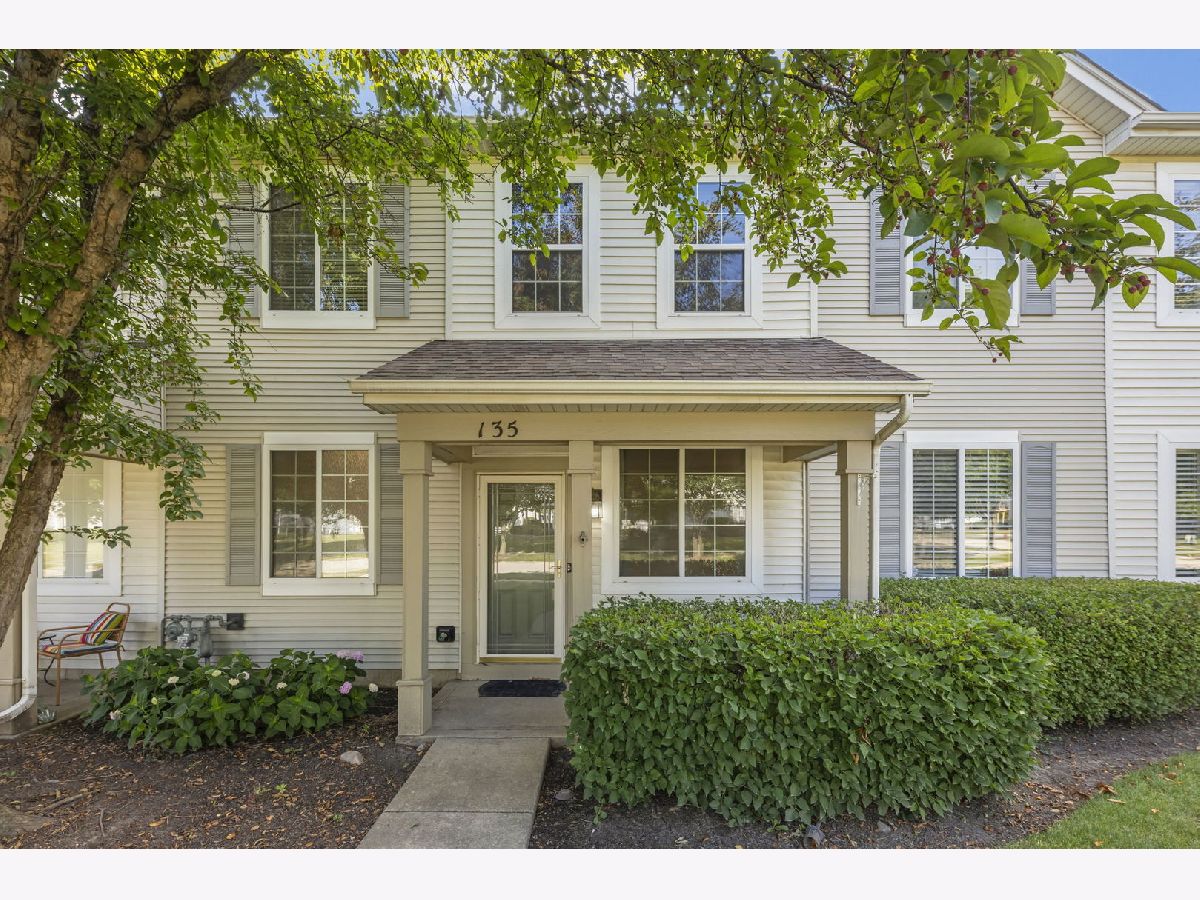 Homes & Townhomes & Condos For Sale Wesglen Romeoville Illinois, 135 Azalea Circle