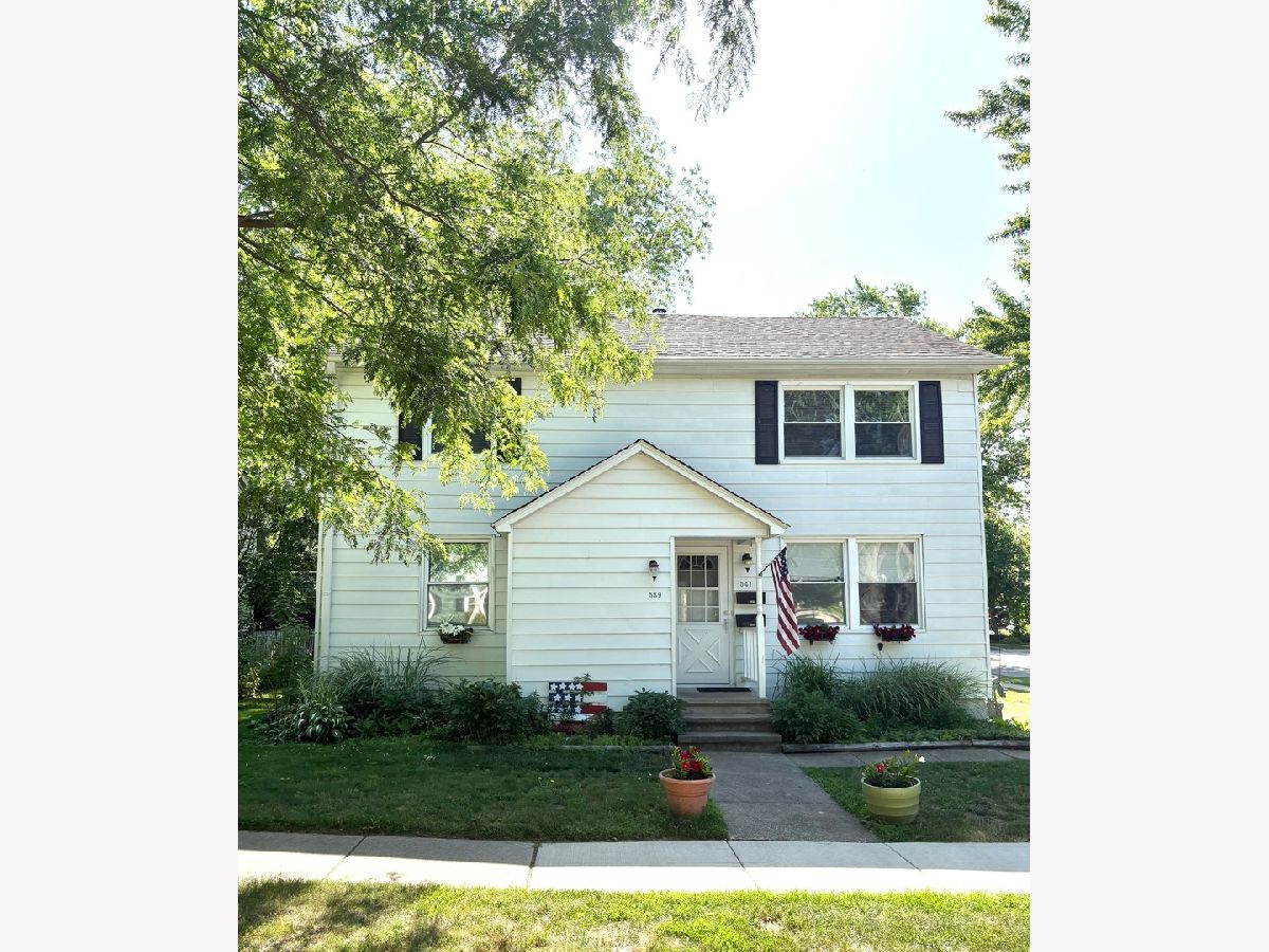  Rented West Dundee Illinois, 539 2nd