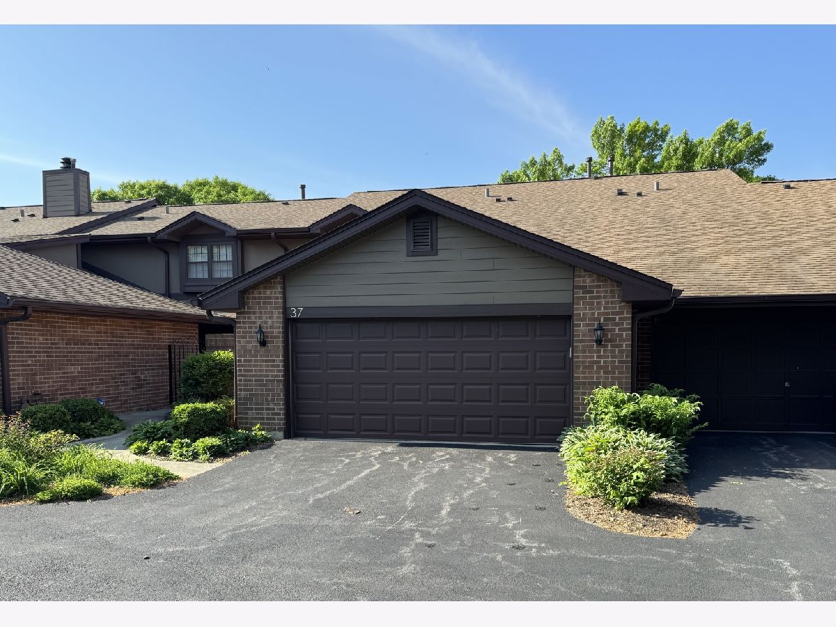  Sold Westmont Illinois, 37 White Birch