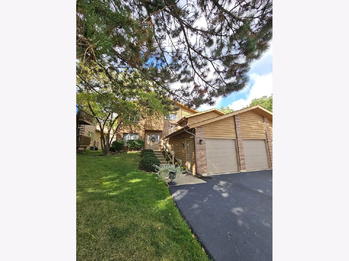  Rented St Charles Illinois, 425 3rd