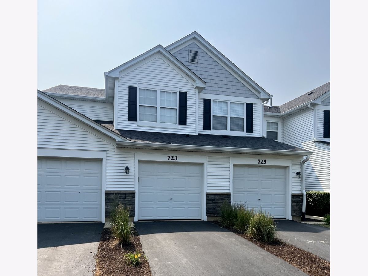 Townhomes & Condos & Homes Sold Enclave At Country Lakes Naperville Illinois, 723 Genesee