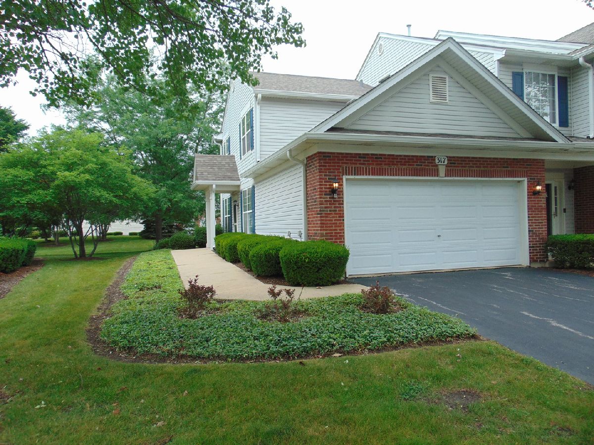 Townhomes & Homes Sold Blackberry Knoll Oswego Illinois, 317 Grape Vine