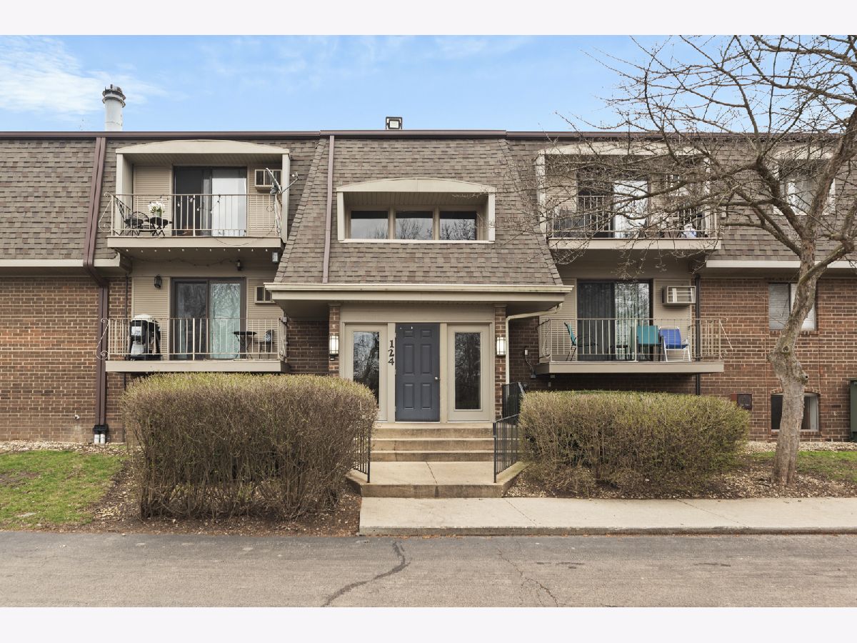  Rented Naperville Illinois, 124 Bailey