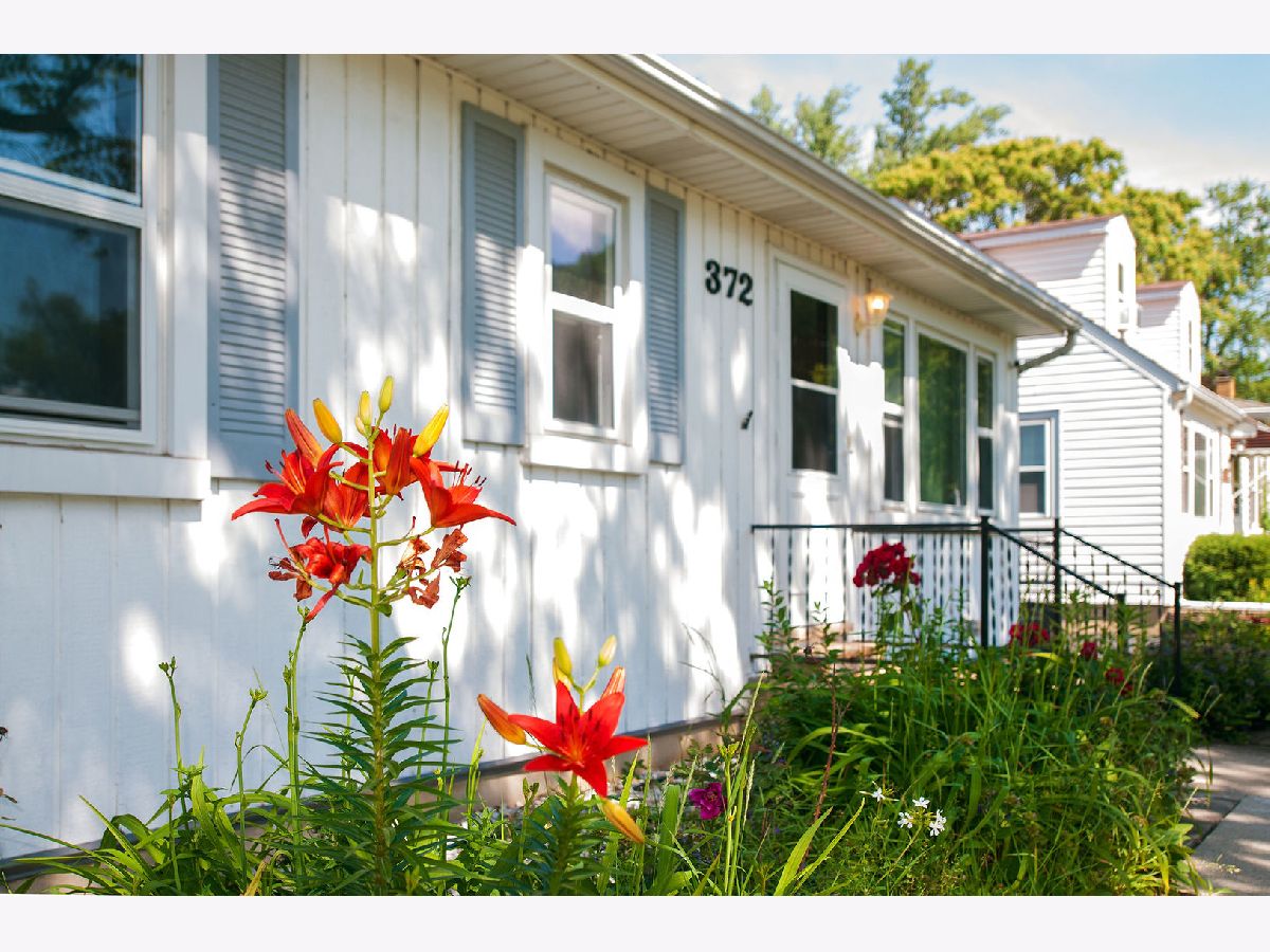  Sold Wood Dale Illinois, 372 Walnut