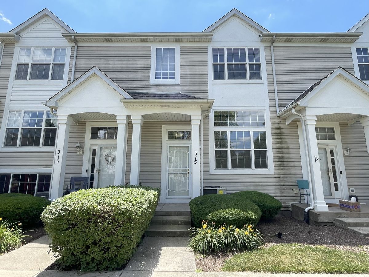  Rented Joliet Illinois, 515 Silver Leaf