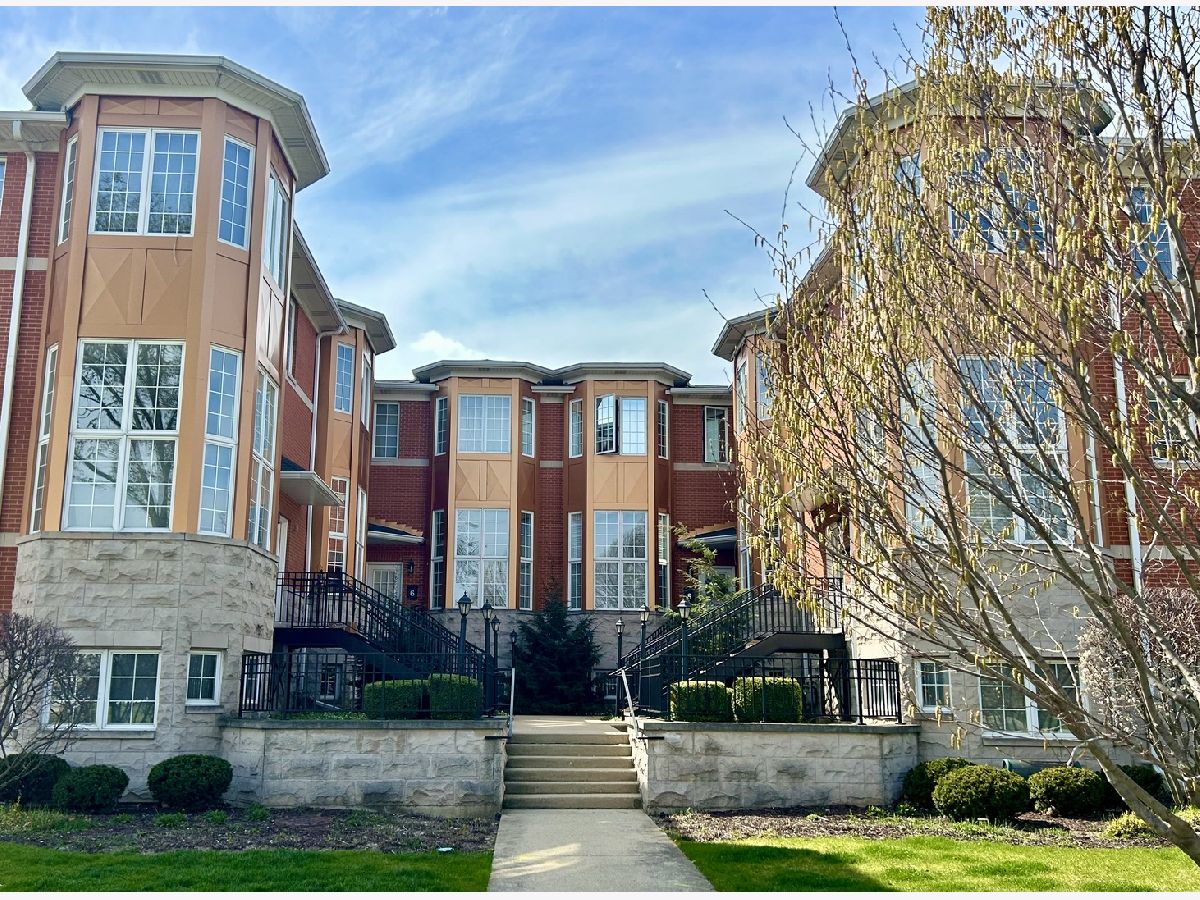  Sold River Forest Illinois, 10 Park