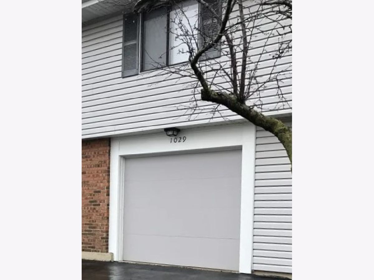 Townhomes & Condos & Homes Rented Weathersfield Commons Schaumburg Illinois, 1029 Tobey