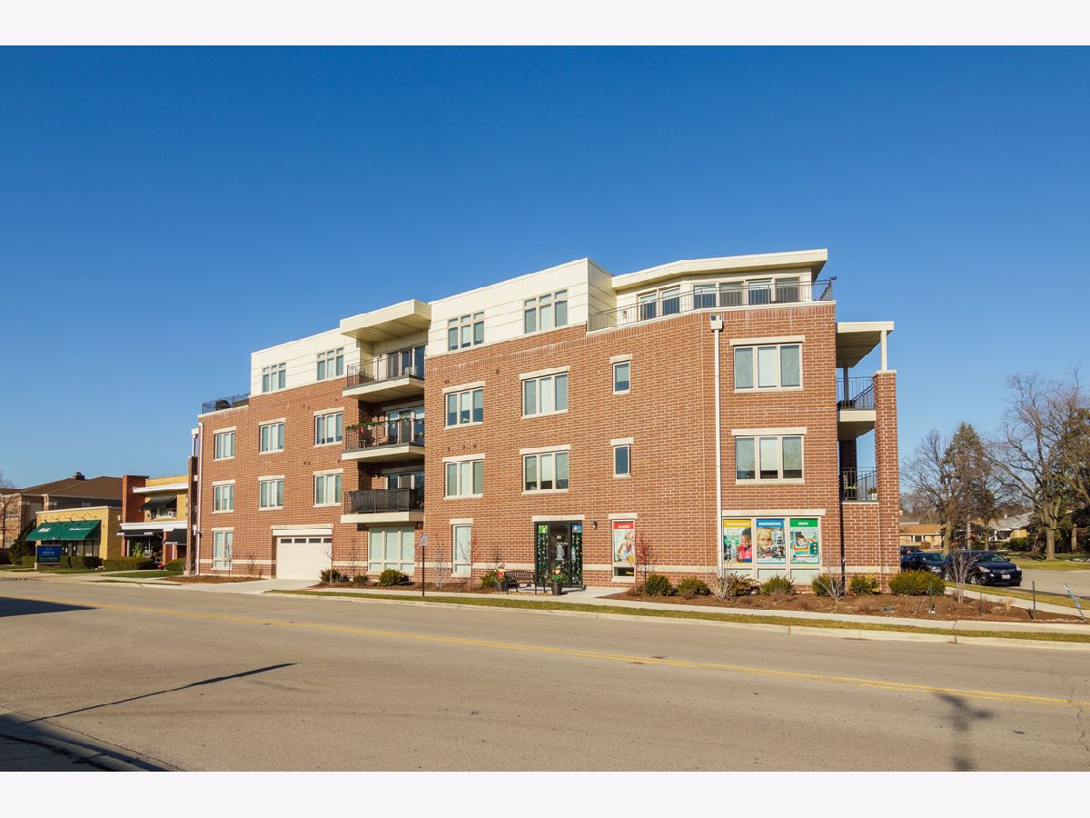  Rented Park Ridge Illinois, 1212 Vine