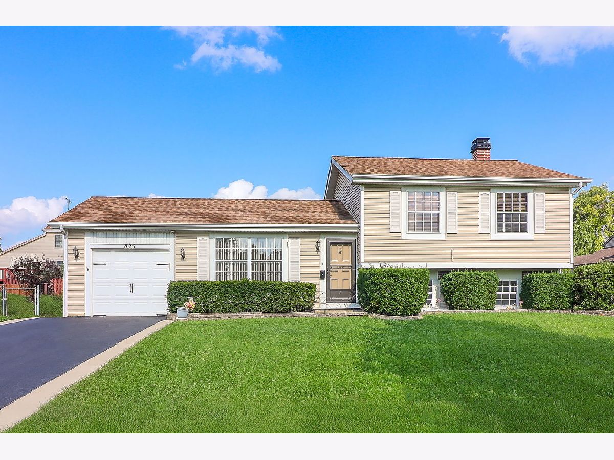  Sold Bartlett Illinois, 825 Prairie