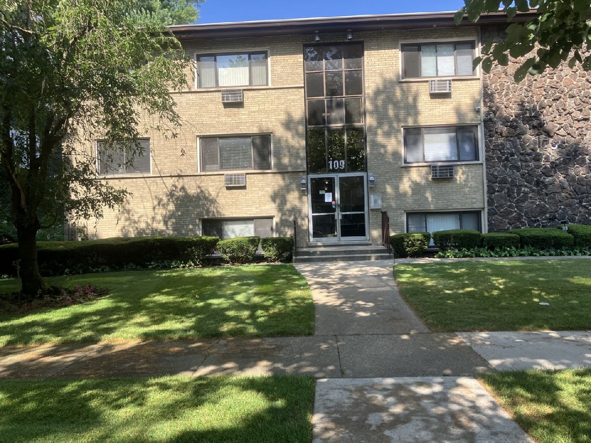  Rented Oak Park Illinois, 109 Elmwood